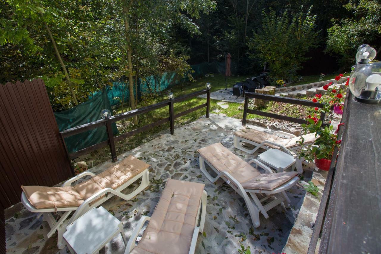 Casa Thor Apartment Sinaia Luaran gambar